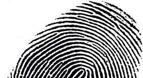 Datos – Persona: una relación inescindible. HABEAS DATA