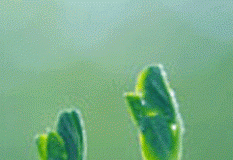 Retenciones, un resumen