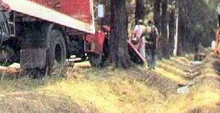 el caso FELICETI o el intento de copamiento del derecho