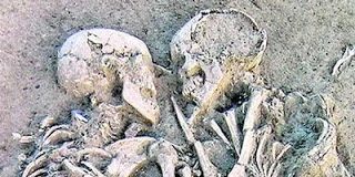 El sexo del ciudadano