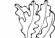 más de Camilo José…