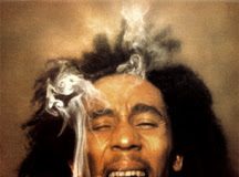 Legalícenla – El fallo ARRIOLA completo