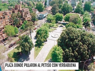colavini