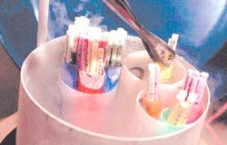 La persona en la Constitución Argentina