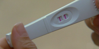 LA CONSTITUCION DISPARA SU FAL