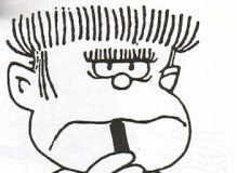 INGRESOS PERO BRUTOS