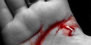 Jugo de tomate frío