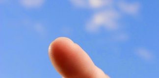 LA SEMANA CONSTITUCIONAL