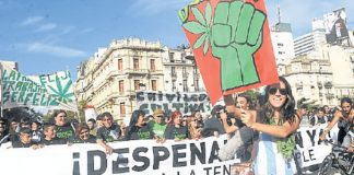 Encuesta: ¿Se debe despenalizar el consumo de drogas?