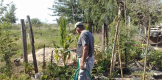 CANCION DEL JARDINERO