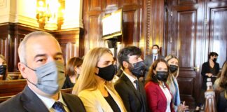 UNA PLANTA BROTÓ EN LA CORTE