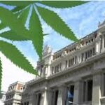 SUPREMO CANNABIS MEDICINAL