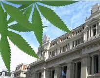 SUPREMO CANNABIS MEDICINAL